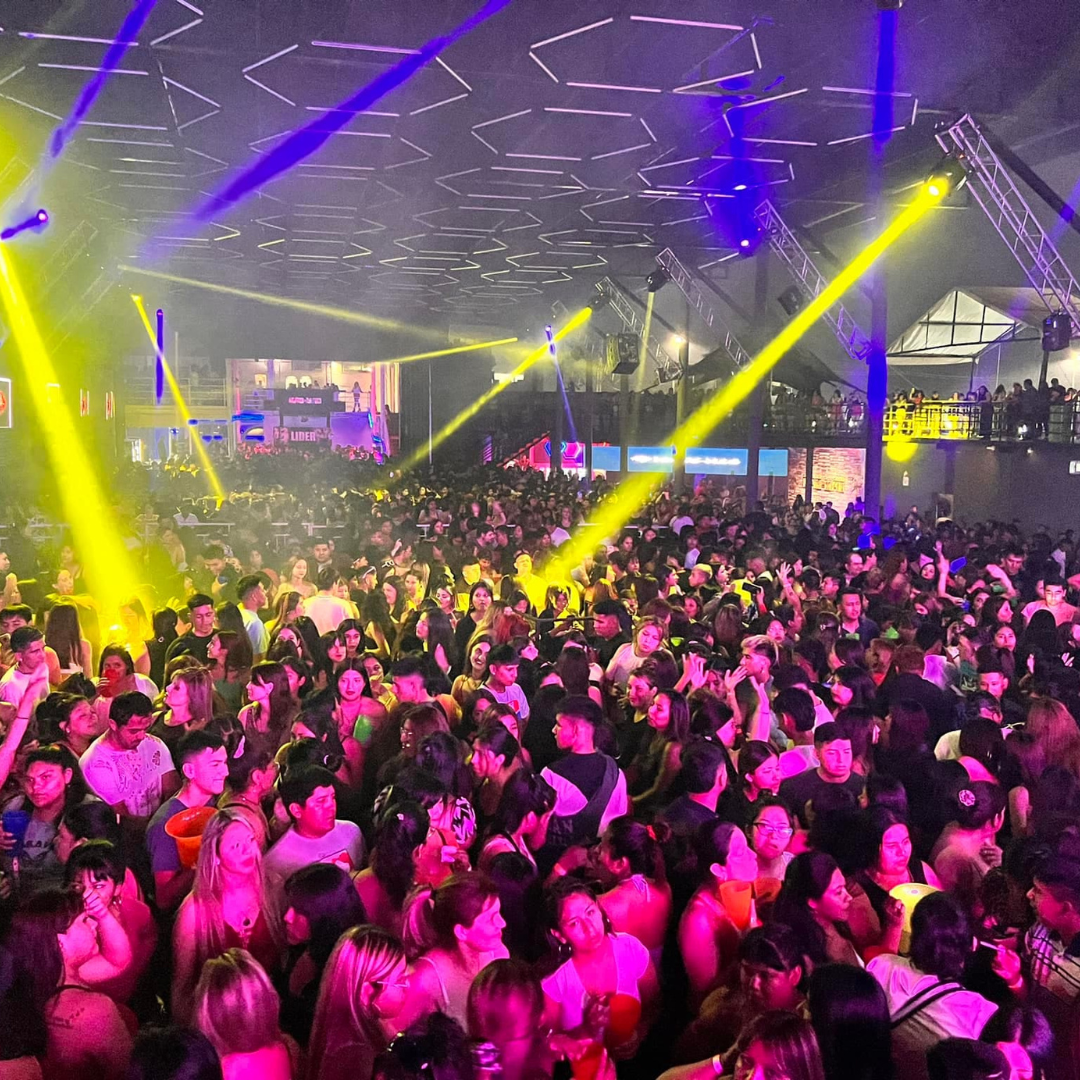 ELEMENTOS WEB MKT (67)